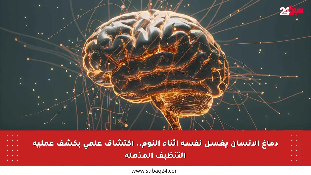 دماغ الإنسان يغسل نفسه أثناء النوم.. اكتشاف علمي يكشف عملية التنظيف المذهلة